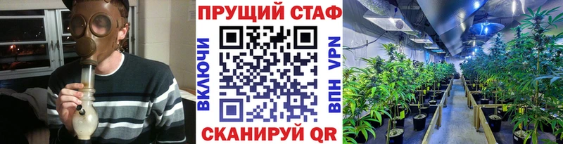 МЕФ Динская