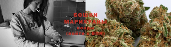 стафф Шали