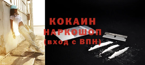 гашик Пересвет