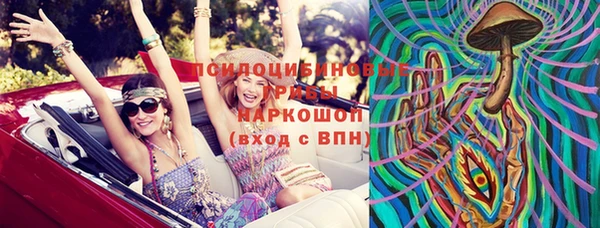 гашик Пересвет