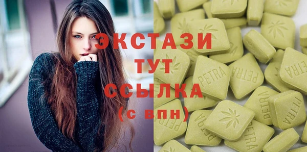 гашик Пересвет