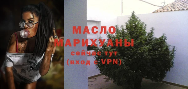 дмт Пестово