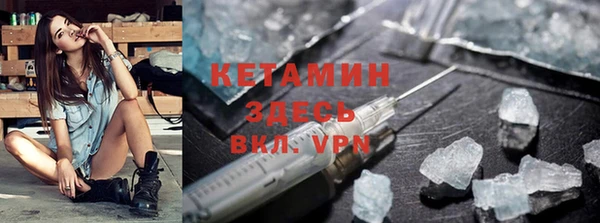 гашик Пересвет