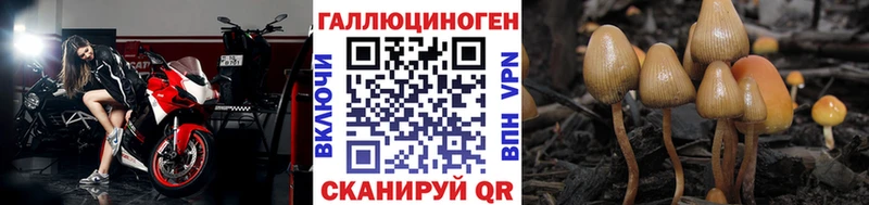 Галлюциногенные грибы MAGIC MUSHROOMS shop телеграм Динская наркотики